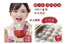 Nama30.年末発送 正月用 ひめのもち つきたて生餅30