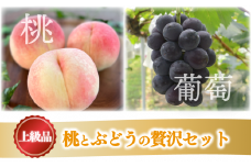 KF-M010【きよとうファーム】旬採り桃３玉＆黒葡萄特大２房を一緒に楽しむ贅沢セット品 (岡山県産)