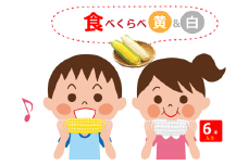 MIX_KI_SHIRO_6.新鮮 蒜山産 甘いとうもろこしの食べくらべセット　黄3本と白3本
