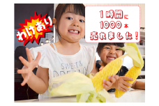 WAKE_20.新鮮 蒜山産 甘い【わけあり】とうもろこし20本