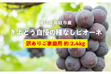 KF-B074-01【きよとうファーム】訳あり 種なしピオーネ 約2.4kg (岡山県産)