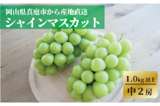 KF-B078-02【きよとうファーム】食べ切サイズ シャインマスカット 中２房/計1.0kg~ (岡山県産)