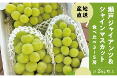 KF-B080【きよとうファーム】秋の葡萄2種！シャインマスカット&瀬戸ジャイアンツ 3-5房/計2.0kg (岡山県産)