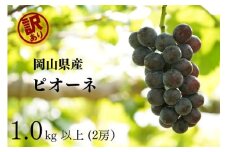 KGF-17.岡山県産 【訳あり】 　ピオーネ1.0kg以上　2房　産地直送　朝採れ 【kgftmt017】