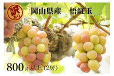 KGF-19.岡山県産 【訳あり】 　悟紅玉800g以上　2房　産地直送　朝採れ 【kgftmt019】
