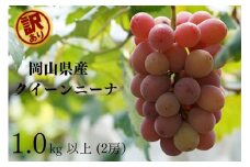 KGF-18.岡山県産 【訳あり】 　クイーンニーナ1.0kg以上　2房　産地直送　朝採れ 【kgftmt018】