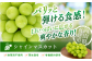 パリッと弾ける食感！口いっぱいに広がる爽やかな香り！岡山県真庭市産シャインマスカット
