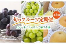 KF-T051-02【きよとうファーム】ピオーネ＆シャインマスカット＆梨詰合せ！旬のフルーツ３回便(定期便)(岡山県産)