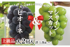 KF-B087-01【きよとうファーム】ピオーネ＆シャインマスカット 上級品 特大2房 /計1.3kg~  (岡山県産)