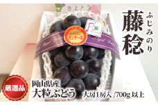 KF-B086-02【きよとうファーム】大粒葡萄の藤稔 特大1房 厳選品/1房700g以上 (岡山県産)