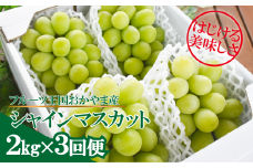 KF-T047-02【きよとうファーム】岡山のシャインマスカットを楽しむ満足3回便！3-5房入×3回/全便計6.0kg~ (定期便)(岡山県産)