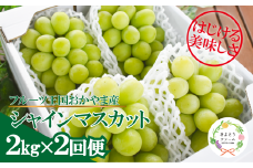 KF-T046-02【きよとうファーム】岡山のシャインマスカットを楽しむ満足2回便！3-5房入×２回/全便計4.0kg~ (定期便)(岡山県産)