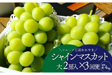 KF-T045-01【きよとうファーム】岡山のシャインマスカットを楽しむ満足３回便！特大２房×3回/全便計3.9kg~ (定期便)(岡山県産)