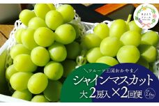 KF-T044-02【きよとうファーム】岡山のシャインマスカットを楽しむ満足2回便！特大２房×２回/全便計2.6kg~ (定期便)(岡山県産)