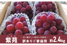 KF-B085-01【きよとうファーム】訳ありご家庭用 紫苑(しえん)/ 約2.4kg (岡山県産)