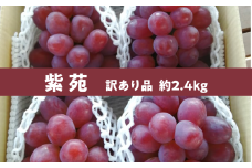 KF-B083【きよとうファーム】訳あり品 紫苑(しえん)/ 約2.4kg (岡山県産)