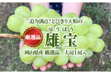 KF-B082-01【きよとうファーム】大粒葡萄「雄宝(ゆうほう)」 厳選品大１房入/房700ｇ以上 (岡山県産)