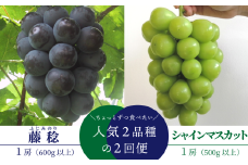 KF-T043-01【きよとうファーム】ちょっとずつ食べたい！藤稔とシャインマスカットの１房お試し２回便！ (定期便)(岡山県産)