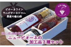 hana75.花笑み農園のピオーネ加工品3種セット『ラムピオーネジャム＆ワイン&飲む酢』