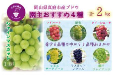 hana69.岡山　花笑み農園の『園主おすすめぶどう4種セット』(4房)