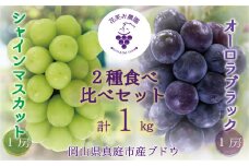 hana67.岡山　花笑み農園の『シャインマスカット＆オーロラブラック』 1㎏（2房）