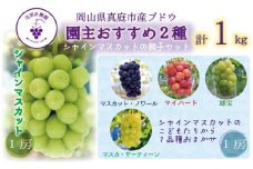 hana65.岡山　花笑み農園　『園主おすすめぶどう2種セット』～シャインの親子セット～