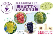hana64.岡山　花笑み農園　『園主おすすめレアぶどう2種セット』～シャインの子供たち～