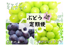 【産地直送】岡山シャインマスカット入り定番品種定期便　3回コース 【2025年先行予約】 / 岡山 真庭 定期便 シャインマスカット ピオーネ 瀬戸ジャイアンツ 高級 贈答 葡萄 ぶどう ブドウ 果物 フルーツ 新鮮 人気 定番 数量限定 ぶどう専門 林ファミリー (2025年9月上旬～発送予定)