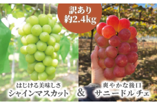 KF-B089-02【きよとうファーム】訳あり品 シャインマスカット＆サニードルチェ/約2.4kg~ (岡山県産)