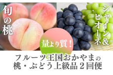 【定期便】【きよとうファーム】量より質！桃5-7玉とピオーネ＆シャインマスカット大２房の上級品(定期便)(岡山県産) KF-T056-02 / もも ピオーネ ぶどう シャインマスカット 果物 フルーツ 岡山 真庭市 きよとう果樹園