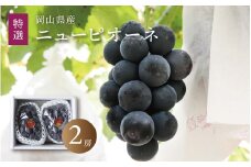 真庭市産 ニューピオーネ 特選大房 2房 / (2025年8月中旬以降発送予定) ぶどう 贈答用 ギフト 岡山 真庭 ピオーネ  真庭市 大粒 葡萄 果物 フルーツ 濃厚 ピオーネ 人気 数量限定 黒ぶどう 大粒 種なし スイーツ 【pione03】