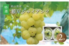 真庭市産 瀬戸ジャイアンツ 大房特選２房 / (2025年9月中旬以降発送予定) ぶどう 岡山 真庭 葡萄  果物 フルーツ ブドウ 人気 数量限定 皮ごと 種なし 産地直送 甘い 新鮮 桃太郎ぶどう 大粒 新食感 人気上昇中 ギフト 贈答用 【seto06】