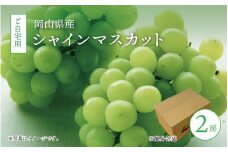 真庭市産 シャインマスカット 自宅用 2房 / (2025年9月中旬以降発送予定) ぶどう 岡山 真庭 大粒 葡萄 シャインマスカット 果物 フルーツ ブドウ 人気 数量限定 ご家庭用 皮ごと マスカット 産地直送 お買い得 新鮮 岡山名産 定番 【配送不可地域：北海道／沖縄県／離島】 【shinemuscat06】