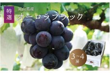 真庭市産 オーロラブラック 3～4房 / (2025年8月上旬以降発送予定) ぶどう 産地直送 岡山 真庭 黒ブドウ 真庭市 大粒 葡萄 果物 フルーツ 新鮮 濃厚 人気 数量限定 ブドウ オーロラブラック 種なし ジューシー 【aurora01】 