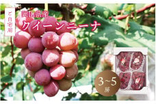 真庭市産 クイーンニーナ 2kg前後 / (2025年9月中旬以降発送予定) ご自宅用 ぶどう 産地直送 新鮮 岡山 真庭 赤ブドウ 真庭市 大粒 葡萄 果物 フルーツ クイーンニーナ 濃厚 人気 数量限定 ブドウ ジューシー 赤ぶどう【queennina02】 