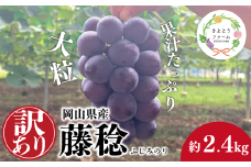 【きよとうファーム】訳あり 種なし ボッケーネ(藤稔) 約2.4kg (岡山県産) /  岡山 真庭 ピオーネ 高級 2.4kg 2025 真庭市 大粒 葡萄 果物 フルーツ 濃厚 人気 数量限定【KF-B090-01】
