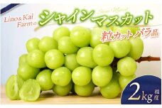 【2025年先行予約】【粒カットバラ品】 シャインマスカット(2kg程度）Lino＆Kai Farm 【2025年10月上旬～順次発送】/ 朝採れ ぶどう 岡山  真庭市 シャインマスカット 高級 ギフト 大粒 果物 ご自宅用 人気 産地直送 国産 安全 数量限定 種なし 食べチョクアワード 受賞