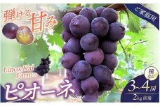 【2025年先行予約】【ご家庭用】 岡山の『ニューピオーネ』 3房～４房  (2kg前後 化粧箱入) Lino＆Kai Farm 【2025年9月中旬～順次発送】 / 朝採れ ぶどう 岡山  真庭市 ピオーネ 高級 ギフト 大粒 果物 贈答 人気 産地直送 国産 安全 数量限定 種なし 食べチョクアワード 受賞