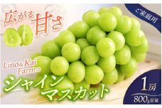 【2025年先行予約】【ご家庭用】岡山のシャインマスカット 1房 （約800g）化粧箱入 Lino＆Kai Farm 【2025年10月上旬～順次発送】 / 朝採れ ぶどう 岡山  真庭市 シャインマスカット 高級 ギフト 大粒 果物 贈答 人気 産地直送 国産 安全 数量限定 種なし 食べチョクアワード 受賞