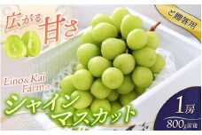 【2025年先行予約】【ご贈答用】 岡山のシャインマスカット  1房 （約800g） 化粧箱入り Lino＆Kai Farm 【2025年10月上旬～順次発送】 / 朝採れ ぶどう 岡山  真庭市 シャインマスカット 高級 ギフト 大粒 果物 贈答 人気 産地直送 国産 安全 数量限定 種なし 食べチョクアワード 受賞