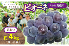 【訳あり】岡山県産 林ファミリーのピオーネ 約4kg（約5～8房） 【2025年先行予約】 / 岡山 真庭 ピオーネ 葡萄 ぶどう ブドウ 果物 フルーツ 新鮮 濃厚 人気 数量限定 お買い得 家庭用 お試し たっぷり ぶどう専門  (2025年9月上旬～発送予定)