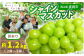 岡山県真庭市 林ファミリーぶどう園 訳ありシャインマスカット約1.2kg（2～3房）