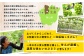 昼夜の寒暖差が大きい岡山県真庭市北房は果物王国おかやまの中でも美味しいブドウが実ると評判の名産地