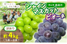 【訳あり】岡山県産 林ファミリーのシャインマスカット&ピオーネ 約4kg（約5～8房） 【2025年先行予約】 / 岡山 真庭 食べ比べ シャインマスカット ピオーネ 葡萄 ぶどう ブドウ 果物 フルーツ 新鮮 濃厚 人気 数量限定 お買い得 家庭用 たっぷり ぶどう専門  (2025年9月上旬～発送予定)
