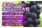 林ファミリーぶどう園の種なしピオーネは果汁たっぷり！弾けんばかりの大粒