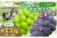岡山県真庭市 林ファミリーぶどう園 訳ありシャインマスカット＆ピオーネ約1.2kg（2～3房）