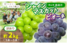 【訳あり】岡山県産 林ファミリーのシャインマスカット&ピオーネ 約2kg（約3～5房） 【2025年先行予約】/ 岡山 真庭 食べ比べ シャインマスカット ピオーネ 葡萄 ぶどう ブドウ 果物 フルーツ 新鮮 濃厚 人気 数量限定 お買い得 家庭用 たっぷり ぶどう専門  (2025年9月上旬～発送予定)
