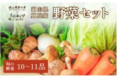 岡山の旬をお届け！ 真庭あぐり野菜セット 10～11品 便利なカット野菜入り / 産地直送 農家 お試し おためし野菜 岡山県 旬野菜 新鮮 あぐりガーデン 国産【yasai002】