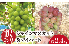 【きよとうファーム】【訳あり品】【ご家庭用】シャインマスカット＆マイハート 約2.4kg (岡山県産) KF-B091  / ぶどう ブドウ 葡萄 シャインマスカット マイハート 先行予約 フルーツ 果物 真庭市