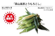 蒜山高原 とうもろこし ミックス20本 / 数量限定 人気 朝採り 新鮮 スイートコーン トウモロコシ 高糖度 甘い 夏野菜 岡山県 真庭市 産地直送 ギフト【corn6】